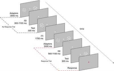 Visual P2p component responds to perceived numerosity